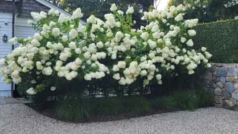 Landscape Installation Shelter Island NY